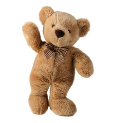 teddy bear isolated on white background - 294888836