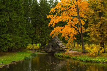 Autumn in the forest. Walk in the Park. Saint-Petersburg. Pushkin. Tsarskoe selo.