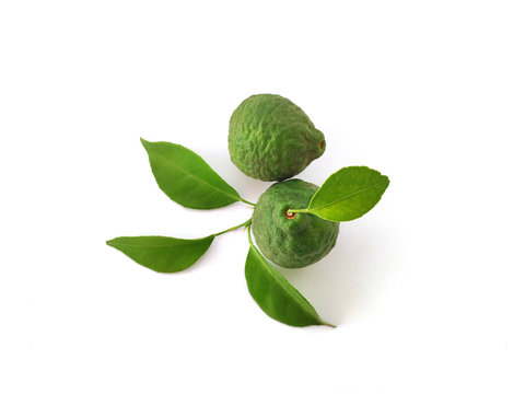 Citrus hystrix known as Jeruk purut or jeruk limau in Indonesia, isolated photo on white background.