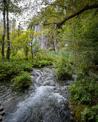 Plitvice lake one of the most famous National Park in Croatia