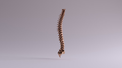 Bronze Spine Vertebrae Backbone 3 Quarter Right View 3d illustration 3d render