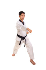 Male martial artist right straight punch, full length shot