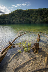 Fototapeta na wymiar Plitvice lake one of the most famous National Park in Croatia