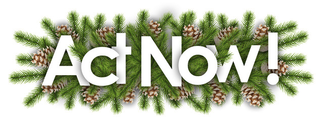 act now in christmas background : pine branchs