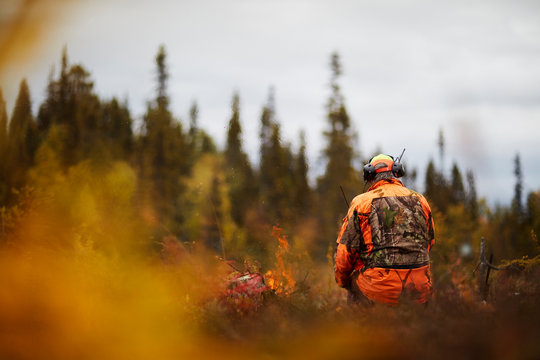 Man elk hunting