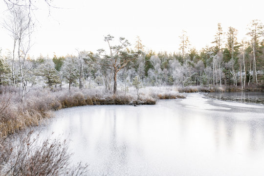 Frozen Lilla Skiren lake by forest in Ostergotland, Sweden