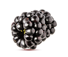 Blackberry isolated on white background with clipping path