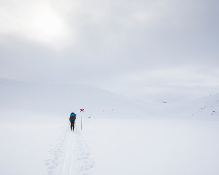 Woman skiing by markers on Kungsleden trail in Lapland, Sweden