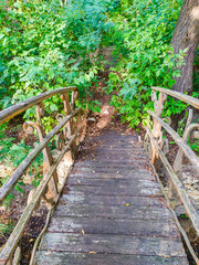 Old Wooden bridge in the park