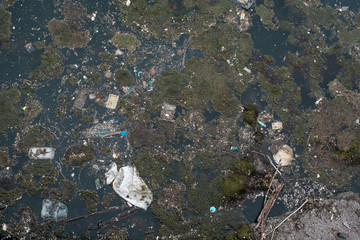 Pollution in the ocean, bottles, polystyrene, plastic bags, etc.