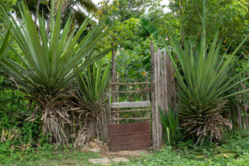 Rural scenery around the town of Trinidad de Cuba in October 2019