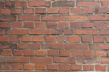 Old Brick Wall Texture clear