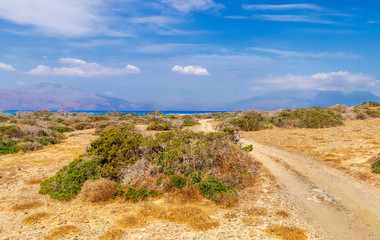 picturesque savannah with a road to the sea and green bushes with deep blue sky and mountains on background, desert landscape