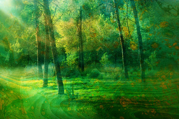 Fototapeta na wymiar art concept of double exposure in nature. forest and fall colors