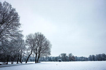 Idyllic Winter Nature Snowscape with Trees