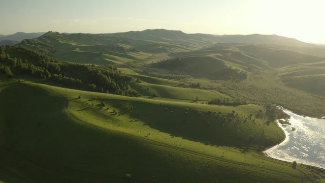 Aerial Drone Footage View: Flying over spring mountains, hills and meadows with pine forests in sun soft light. Europe. Beautiful landscape