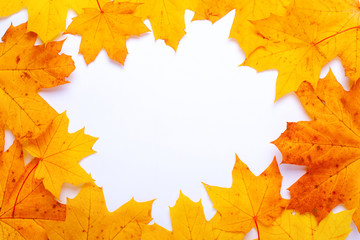 frame of yellow-orange autumn maple leaves