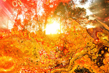 art concept of double exposure in nature. forest and fall colors