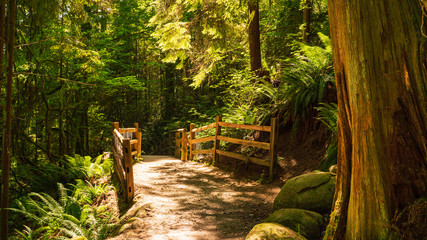 Colourful tree trunk and boulders mark entrance to footbridge on the Capilano Pacific Trail, North...