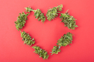 symbol of love from cannabis buds, heart made of marijuana on a coral color background