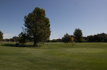Obraz na płótnie Canvas golf course on a sunny day