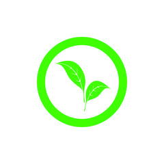 Obraz premium Green circle with white leaves - Eco, Bio, Vegan, Natural, Organic, Fresh concept vector design for label, logo, icon, badge, sticker, prints, banner or other uses. 