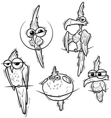 Set of cartoon funny graphic contour birds. Isolated on white background. Vector icon set.