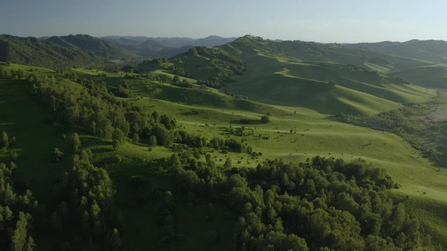 Aerial Drone Footage View: Flying over spring mountains, hills and meadows with pine forests in sun soft light. Europe. Beautiful landscape