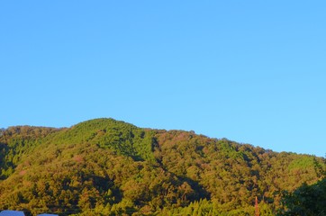 Fototapeta premium landscape in the mountains