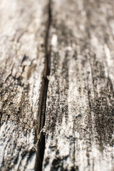 wooden board texture with crack