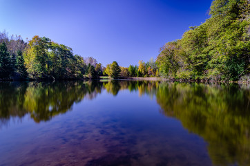 Fall trees reflected in a quiet pond under a clear blue sky.