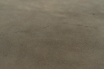 Grey, vintage gray color grainy, heavy grain calf cow leather texture and background.