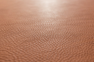 Orange-brown grainy, heavy grain calf cow leather texture and background.