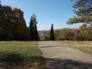 road in the countryside