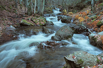 Parque Nacional de Muniellos, Asturias, España, río en un atardecer otoñal con efecto movimiento en el agua