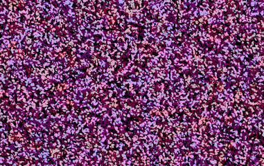 Obraz premium decorative colored leaves 