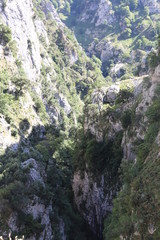 Desfiladero del Cares