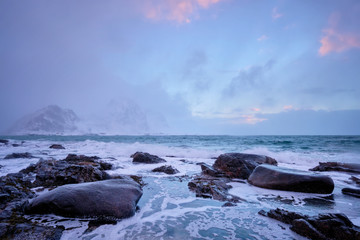 Obraz premium Coast of Norwegian sea on rocky coast in fjord on sunset