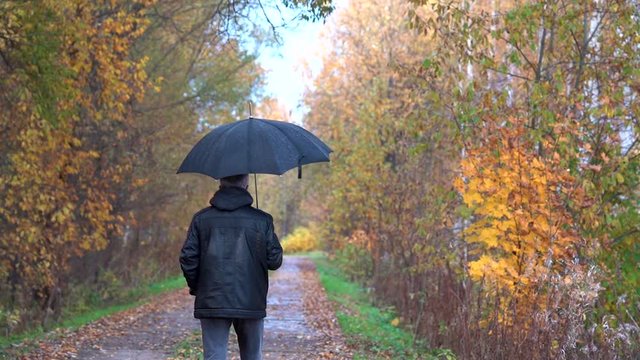A man walks under an umbrella on a rainy day along an autumn Park alley and admires the autumn leaves.