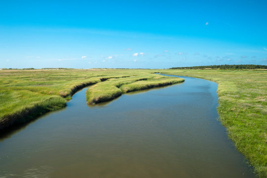 Germany, Schleswig-Holstein, Sankt Peter-Ording, salt marsh at high tide