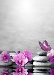 Fototapeta na wymiar Beautiful flower, butterfly and stone zen spa on grey background.