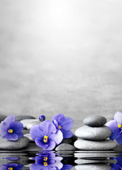 flower and stone zen spa on grey background
