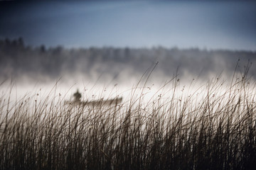 man in a canoe on foggy lake