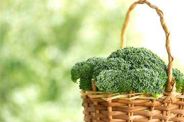 Fototapeta na wymiar Broccoli in green sunny garden