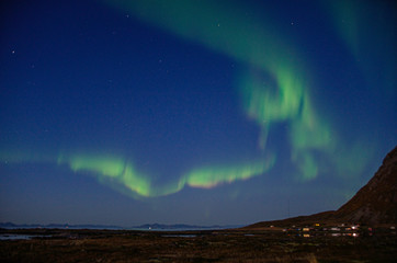 Lofoten North Lights