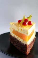 a slice of mousse cake with chocolate biscuit with a layer of mango decorated with cannon