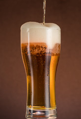 Full narrow glass of beer with foam on an orange brown background