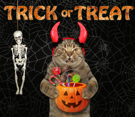 The cat with devil horns is holding a Halloween pumpkin bucket with candies. Trick or treat. Spider...