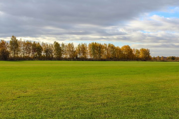 Fototapeta premium autumn in the floodplain of the river