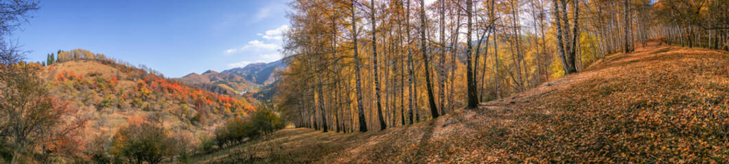 Allphotokz Kok Zhailau 20081009 9858 1DM3